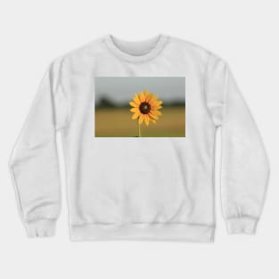 Kansas Wild Sunflower shot closeup Crewneck Sweatshirt